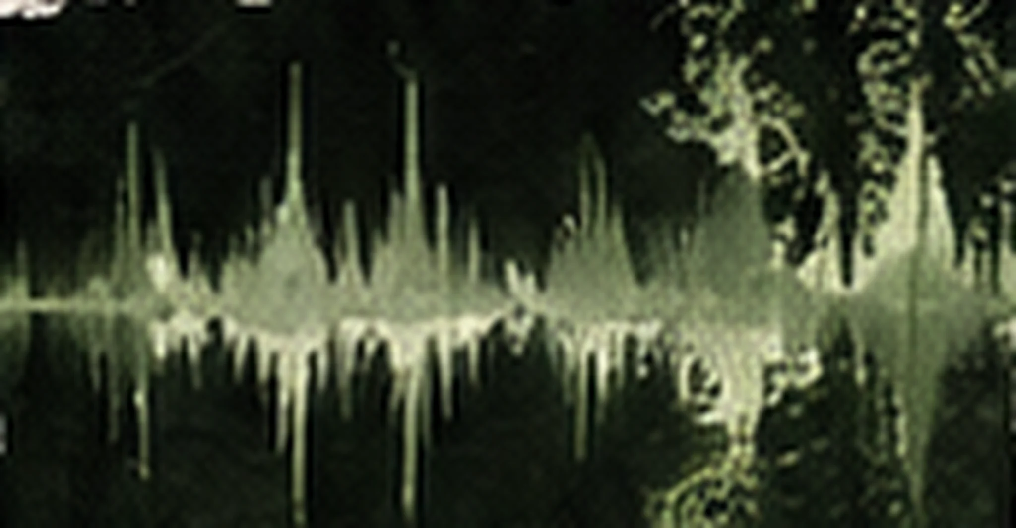 Territorio Aural